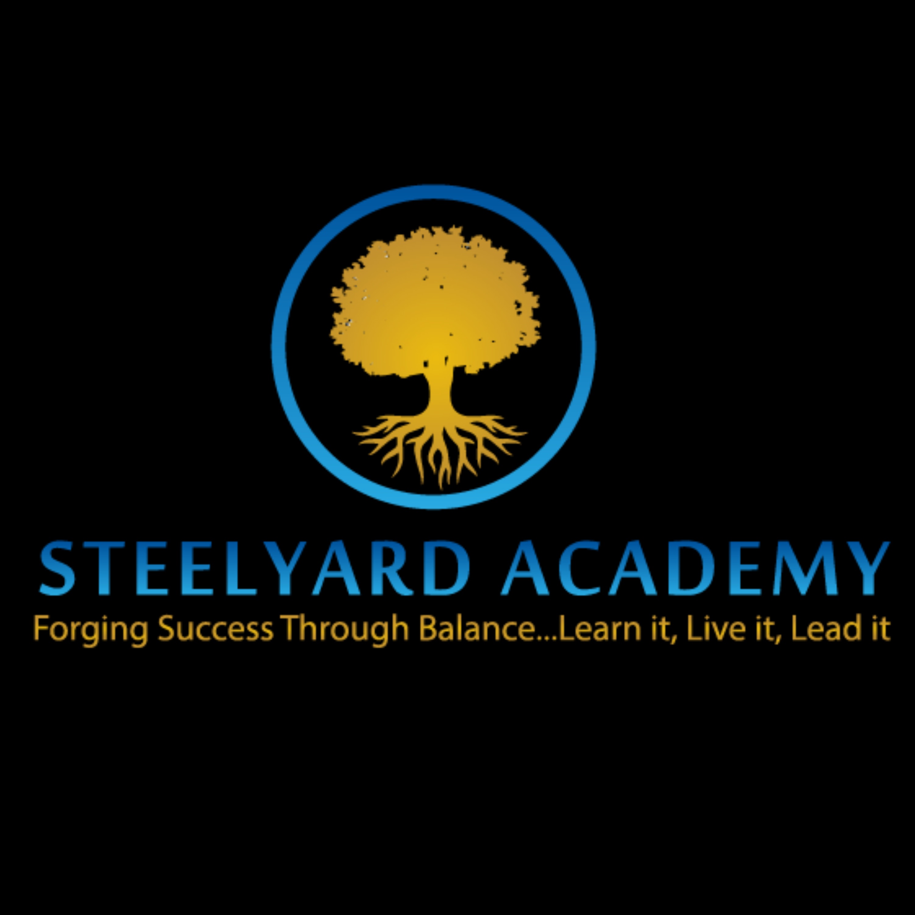 Steelyard Academy
